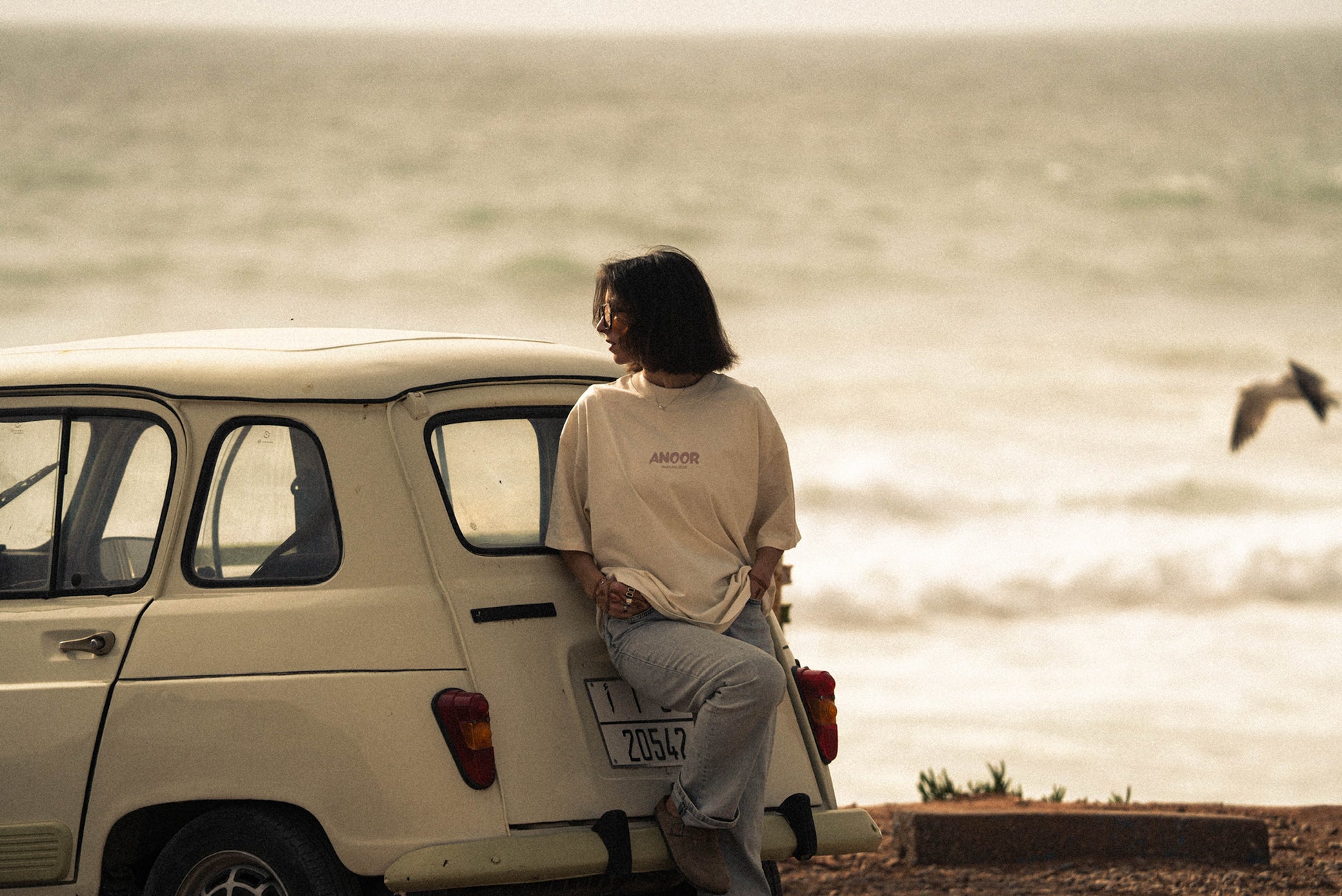 Person sitting on a vintage van by a body of water with a seagull flying overhead.